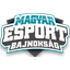 Magyar Esport Kupa - #3 Bajnokság 2021