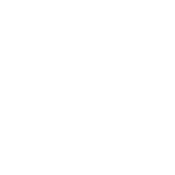 AEN Spring Series