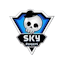 Skyesports Grand Slam - Phase 1
