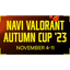NAVI VALORANT Autumn Cup 2023