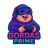 Gordas Prime
