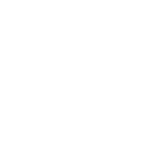 GamerZ Esports