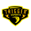 Trigger Esports
