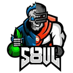 S8ul Esports