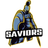 SAVIORS esports