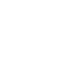 White Lotus