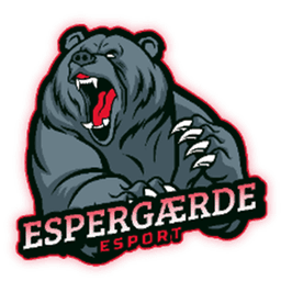 ESPERGÆRDE ESPORT VALORANT