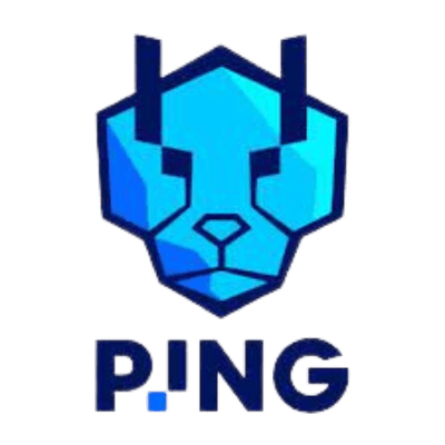 PING Cheetahs