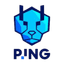 PING Cheetahs