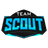 Team Scout