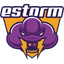 E-STORM
