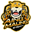 AING MAUNG Esports