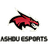 ASHDU ESPORTS