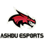 ASHDU ESPORTS