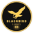 BLACKBIRD E-Sports