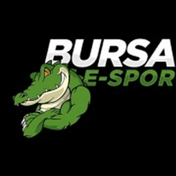 Bursa eSpor