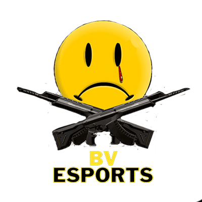 BV ESPORTS
