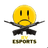 BV ESPORTS
