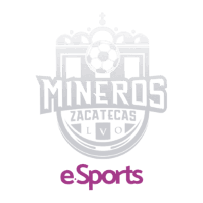 Mineros FC Esports