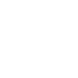 TSM