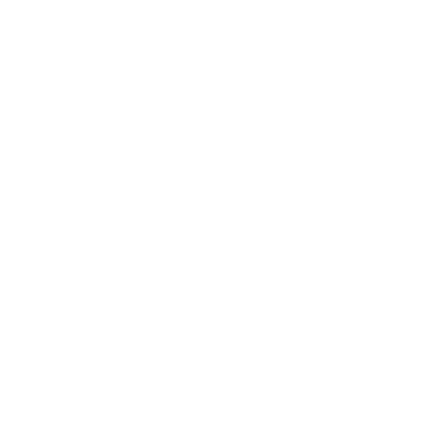 Dodge Acels