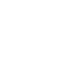 Insomnia Gaming Festival 2025