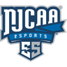 College VALORANT - 2024-2025: National Junior College Athletic Association Esports Tournament