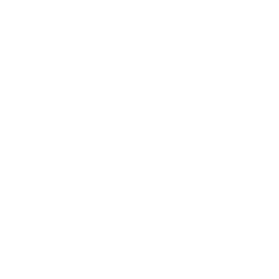 BetBoom VALORANT League: Fall 2025