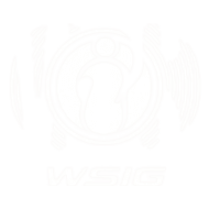 World Invictus Gaming