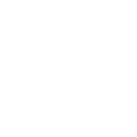 Project V 2025 - THE POKAL 2025