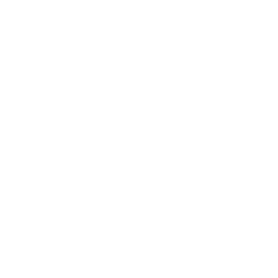 SVL - 2025: Main Event