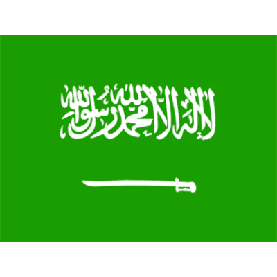 Team Saudi Arabia FE
