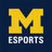 Michigan Esports