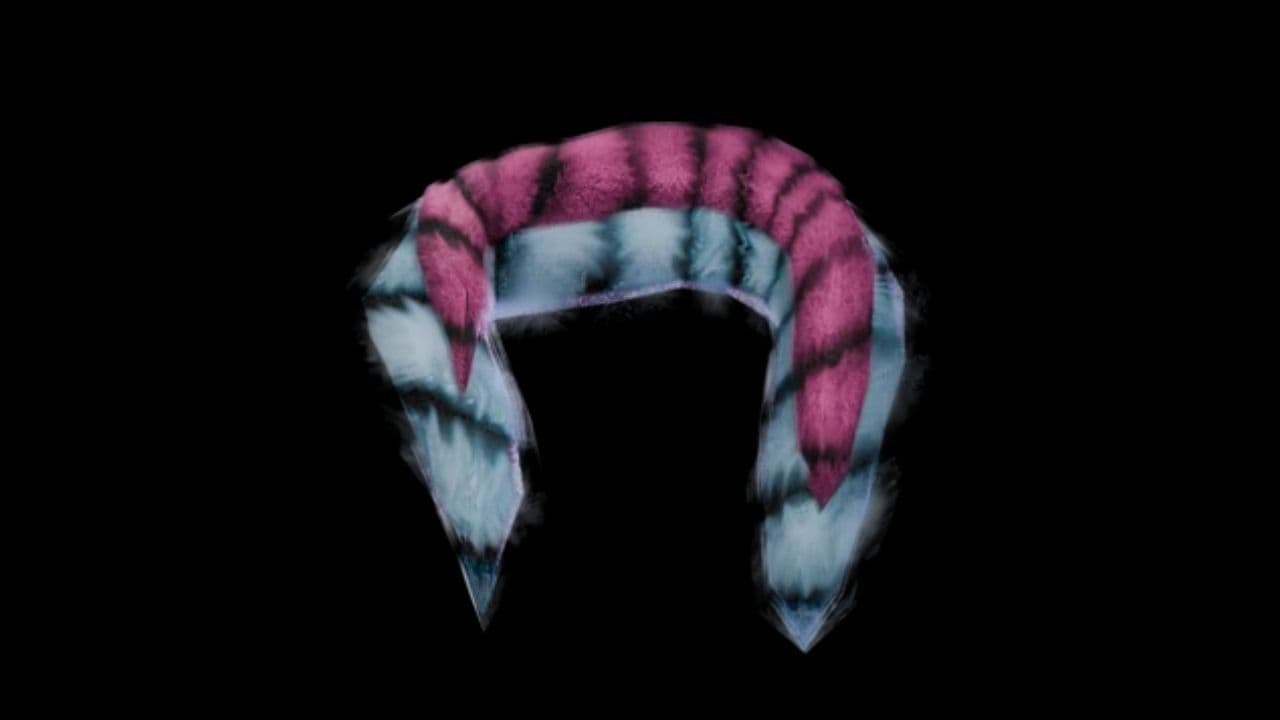 Daniela's Beautiful Chaos Fur