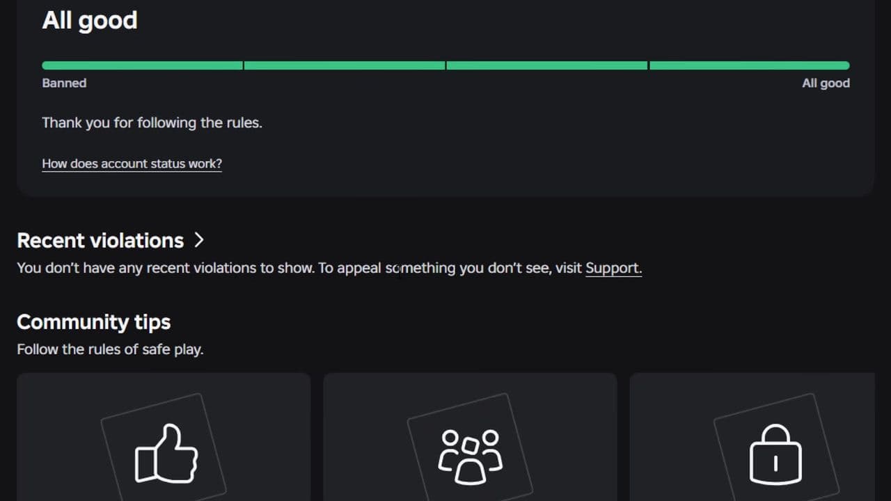 Roblox Safety Dashboard (1).jpg