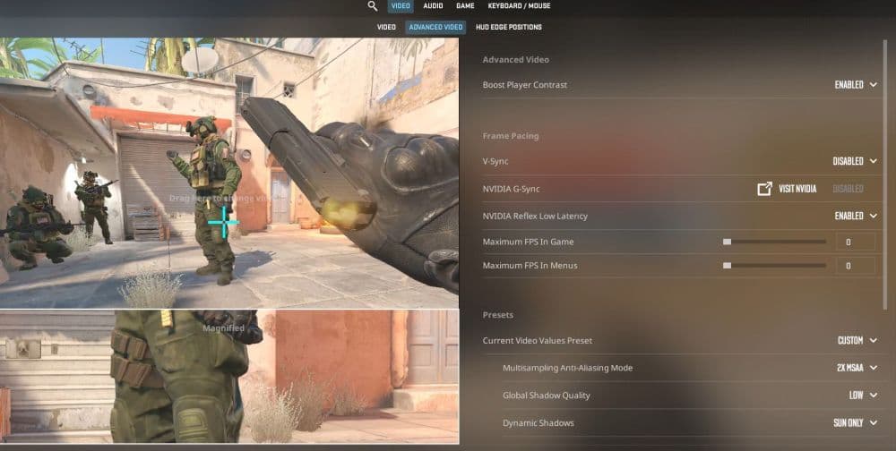 Adjust the video settings according to your PC and preferences (Image Credit: THESPIKEGG)