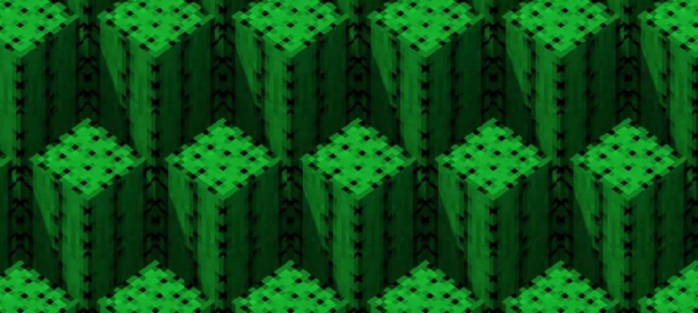 Cactus (Image Credit: Minecraft)