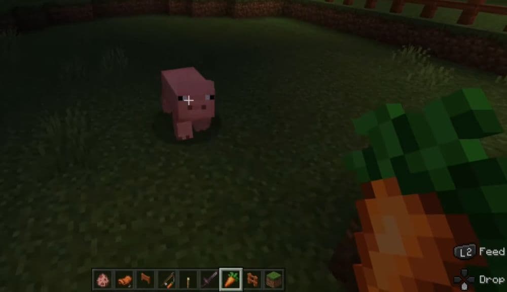 Once you hold a breeding food in your hand, the pigs will start following you in the game (Image Credit: YourSixGaming on YouTube)