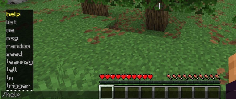 Once you type “/”, you will see a list of commands that you can use in the server, but make sure you enable them in the settings (Image Credit: THESPIKEGG)