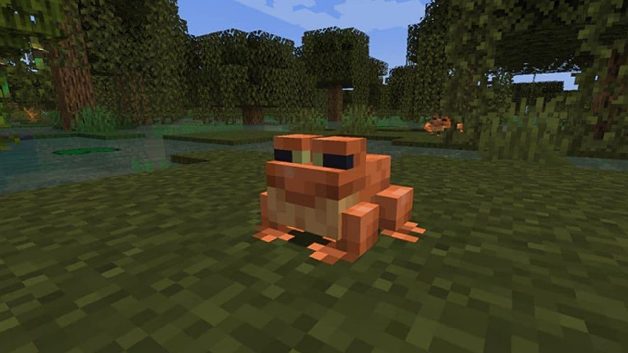 breed frogs mc