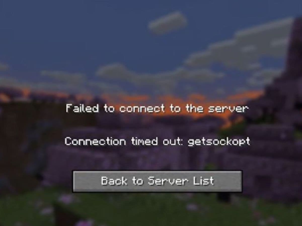 getsockopt 