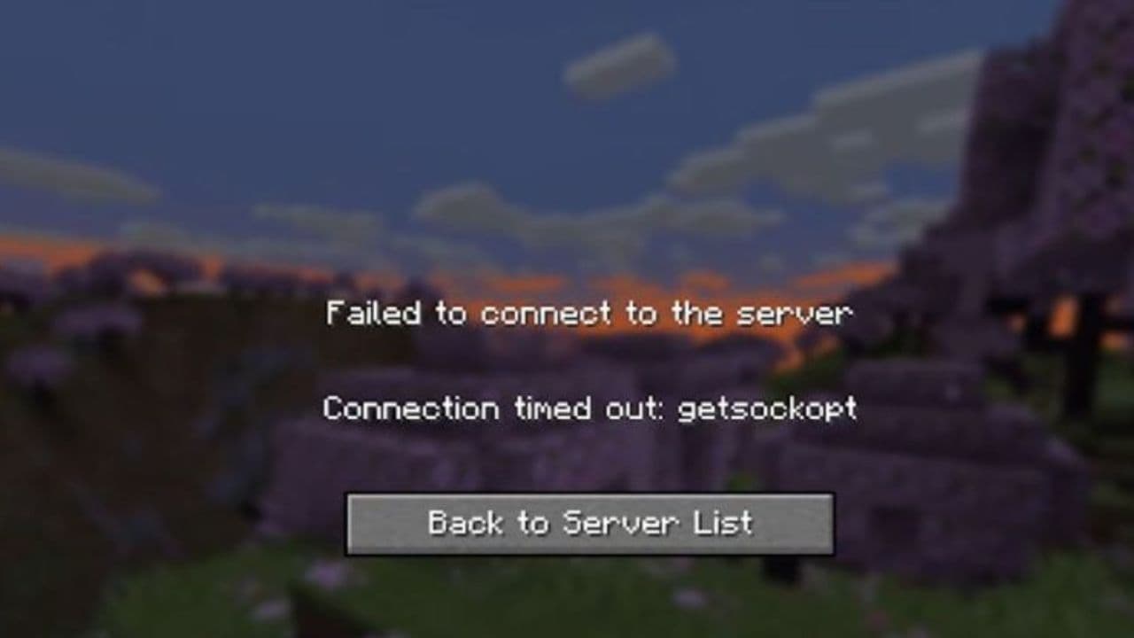 getsockopt 
