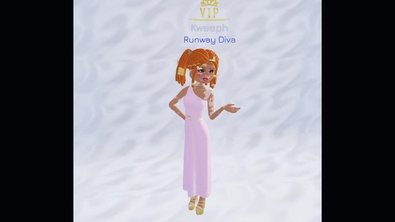 Credit: r/DressToImpressRoblox