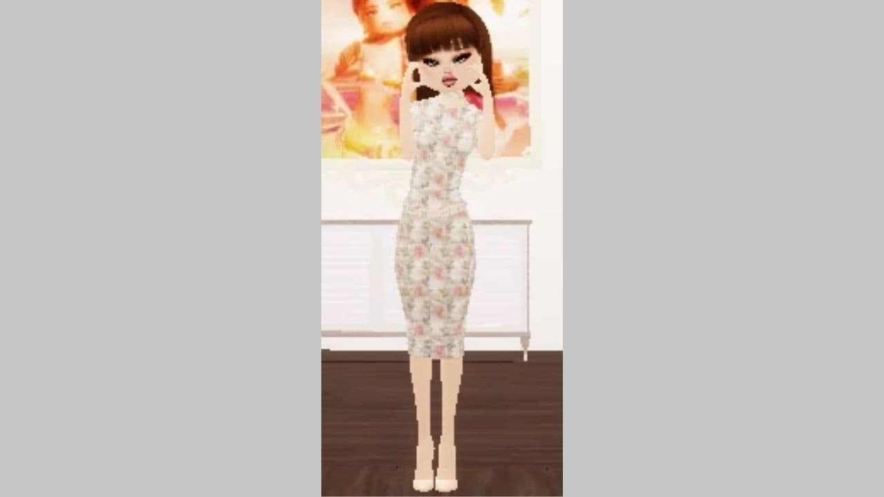 Credit: r/DressToImpressRoblox