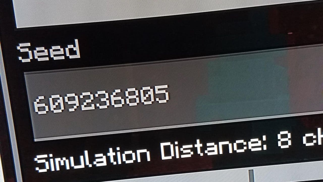 Best Minecraft seeds (1.21.4): How to get & use them easily
