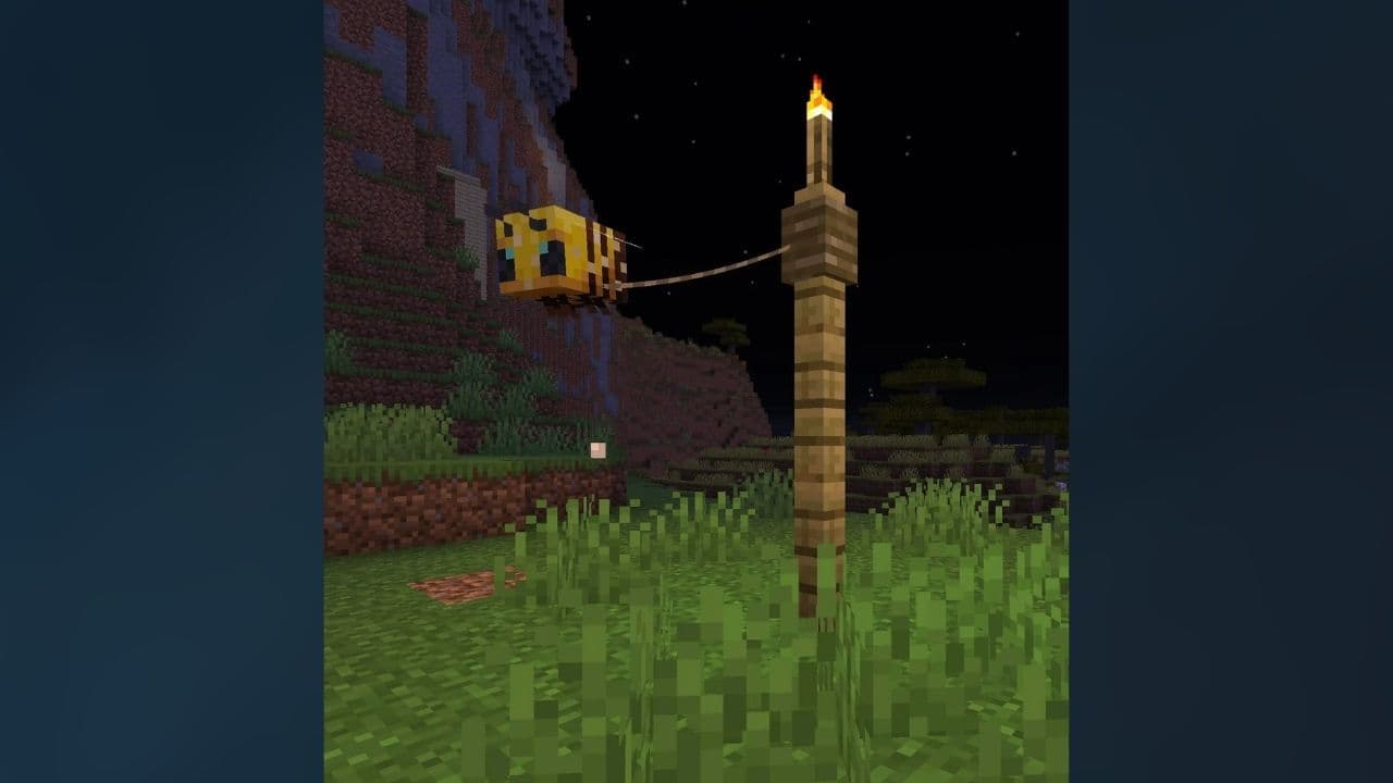 Credit: r/Minecraft