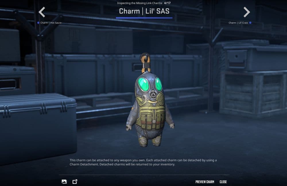 CS2 Charms