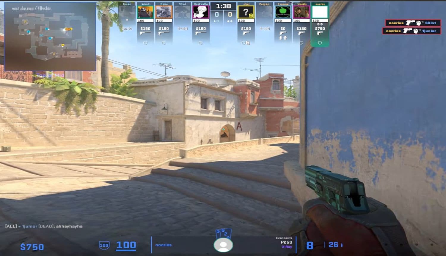 Here is an in-game image of nocries playing with the settings listed in this article (Image Credit: Flvshie on YouTube)