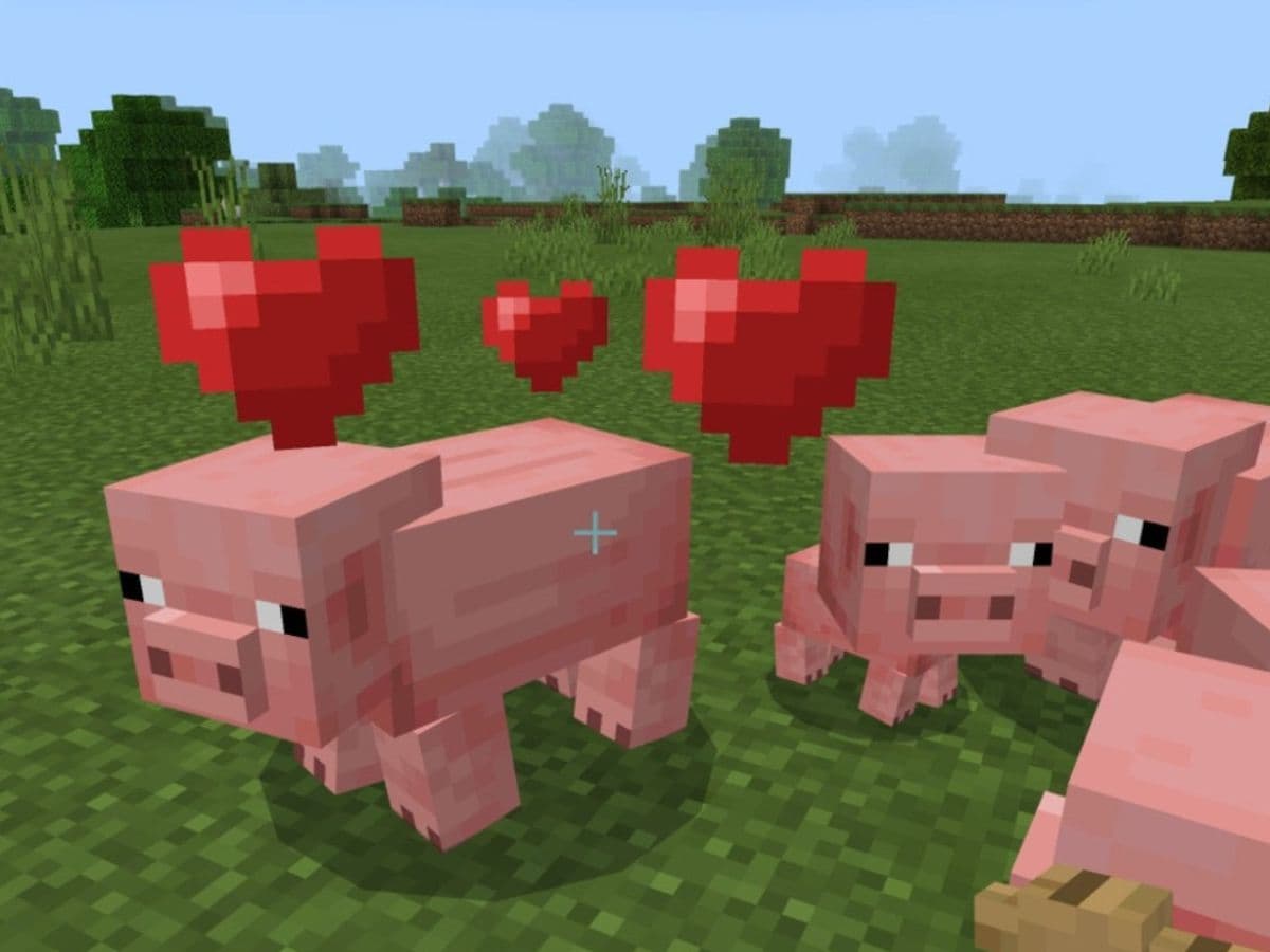 breeding pigs minecraft