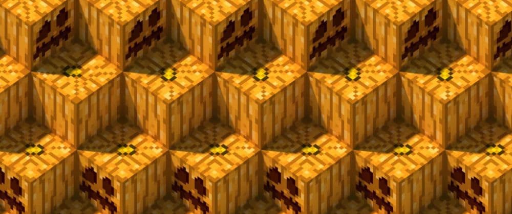 Pumpkin (Image Credit: Minecraft)